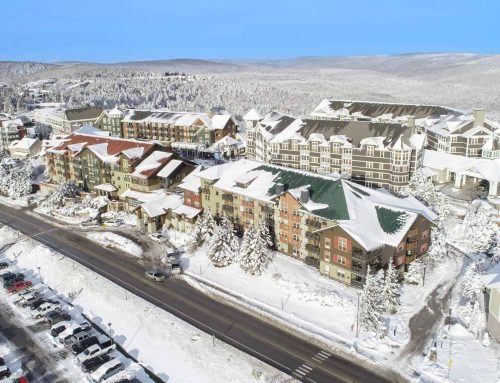 Which Buildings Have the Best Snowshoe Condo Rental Income?