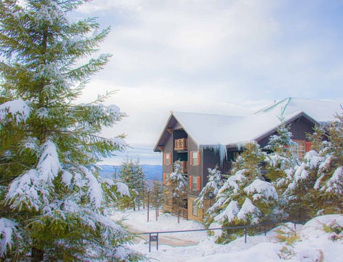 Navigating the Snowshoe WV Real Estate Market: A Guide to Your Dream Mountain Property